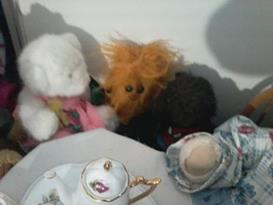 Teddy